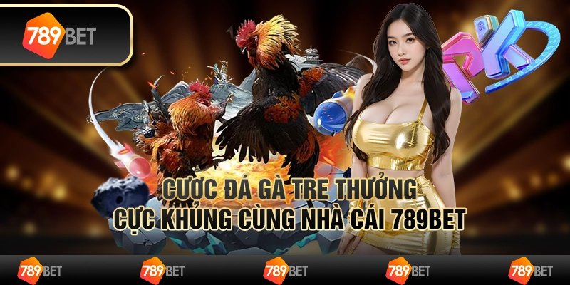 Cược Đá Gà Tre Thưởng Cực Khủng Cùng Nhà Cái 789bet