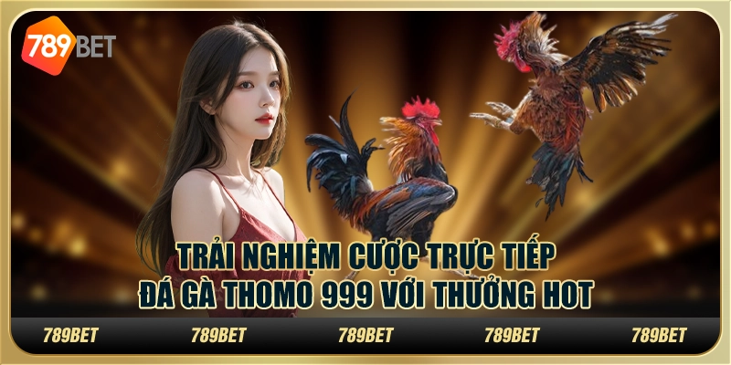 Trải Nghiệm Cược Trực Tiếp Đá Gà Thomo 999 Với Thưởng Hot
