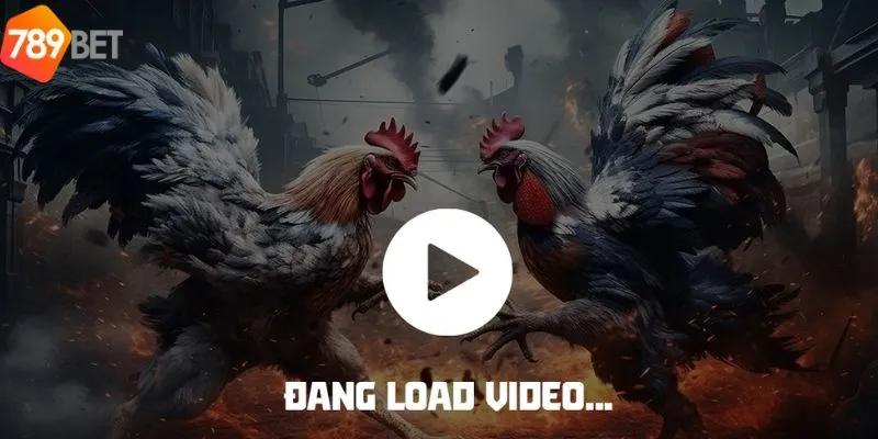 Đá gà 888 tạo nên một cơn sốt trong cộng đồng game thủ