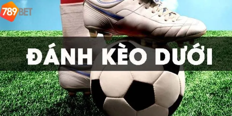 Những loại kèo dưới là gì 