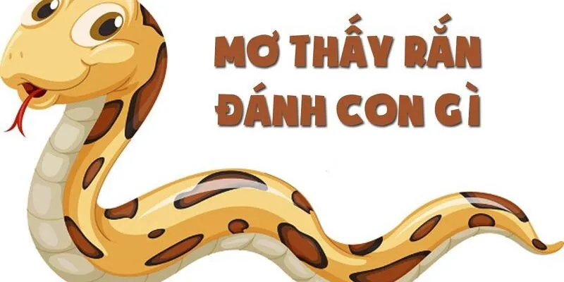 Phân tích ý nghĩa giấc mơ thấy rắn theo từng trường hợp
