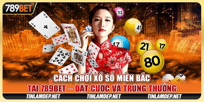 Cách Chơi Xổ Số Miền Bắc Tại 789bet Đặt Cược Và Trúng Thưởng