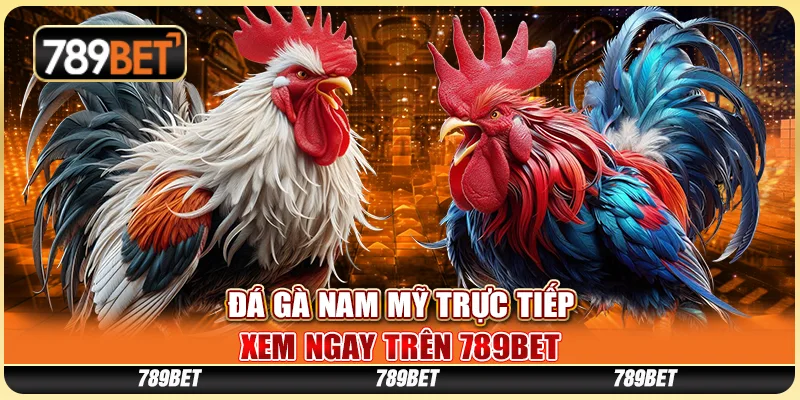 Cược Đá Gà Nam Mỹ Trực Tiếp, Xem Ngay Trên Nhà Cái 789bet