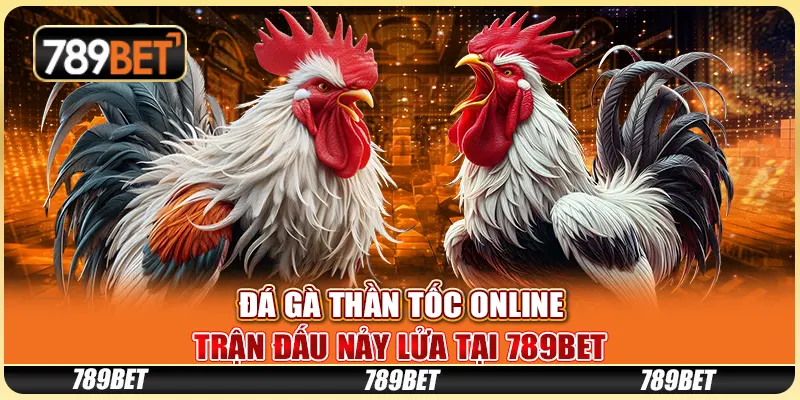 Đá Gà Thần Tốc Online - Trận Đấu Nảy Lửa Tại 789bet
