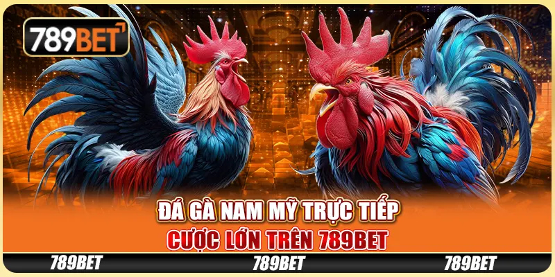 Đá Gà Nam Mỹ Trực Tiếp - Cược Lớn Trên Nền Tảng 789bet