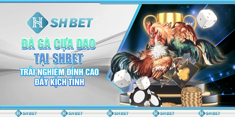 Đá Gà Cựa Dao Tại SHBET - Trải Nghiệm Đỉnh Cao Đầy Kịch Tính