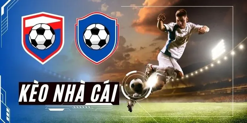 Khám phá tỷ lệ kèo nhà cái
