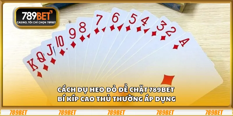 Cách dụ heo đỏ để chặt 789Bet - Bí kíp cao thủ thường áp dụng